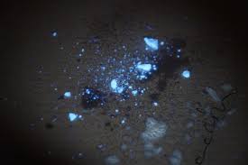 How To Mix Ghb From Powder Bluelight